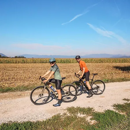 Πανσιόν Grof 3*