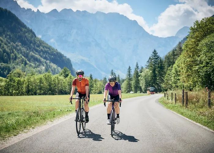 Grof 게스트하우스